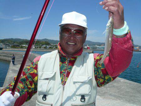 志筑白灯台でキス５匹