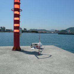 キスの活性が低下