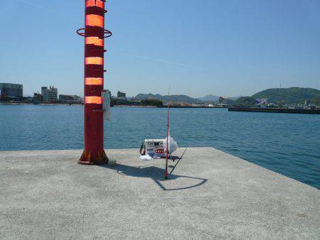 キスの活性が低下