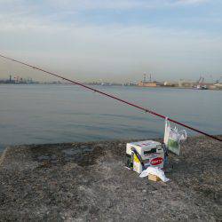 本荘へキス釣査