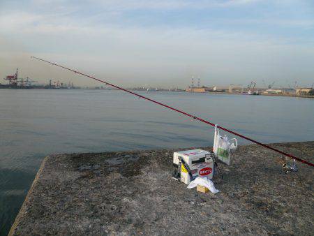 本荘へキス釣査