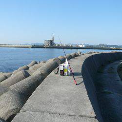 久しぶりの生穂でキス狙い