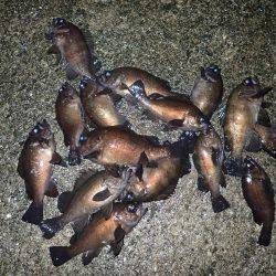 今宵もウハウハ♪