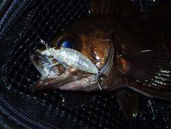 前日の雨濁りで渋いながらも！