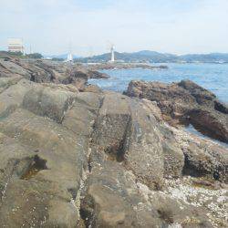 グレ5匹・・・・・イガミ1匹・・・・