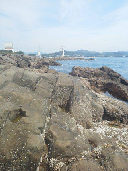 グレ5匹・・・・・イガミ1匹・・・・