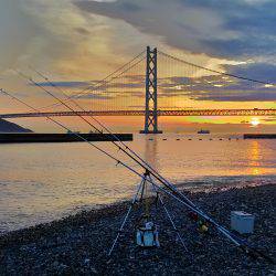 シーズン真っ盛り!花見カレイ2まい!