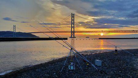 シーズン真っ盛り!花見カレイ2まい!