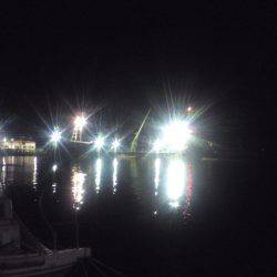 今シーズン初鯵