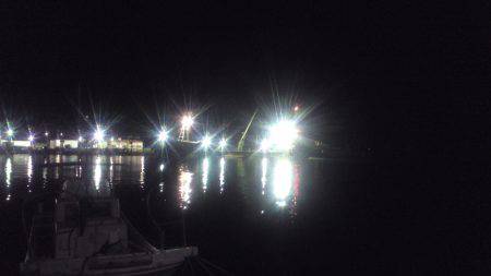 今シーズン初鯵