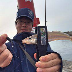 東側 ちょい投げ!