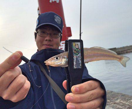 東側 ちょい投げ!