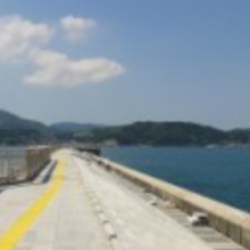 青物狙いも・・・