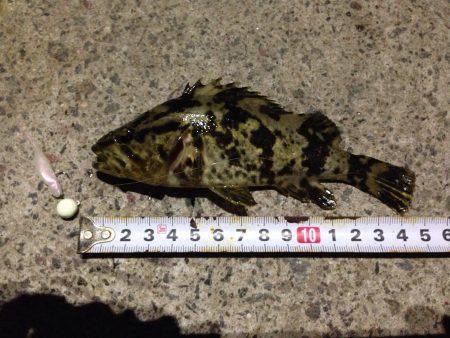 りんくう 橋の下