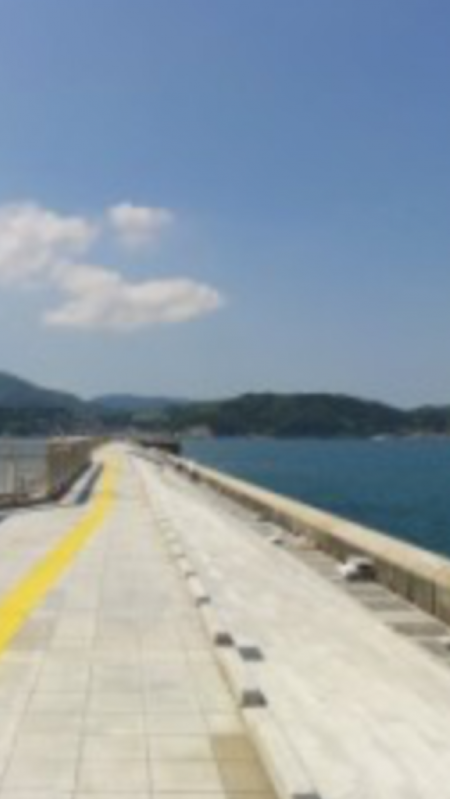 青物狙いも・・・