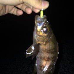 フロートメバリング