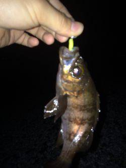 フロートメバリング