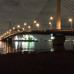 メバルに会えない日が続きます