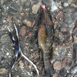 春うららデイゲーム！！