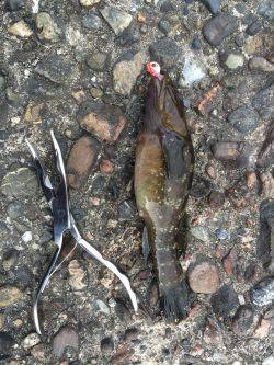 春うららデイゲーム！！