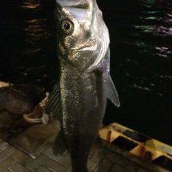 出だし好調やったのに……。