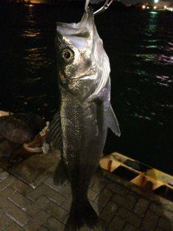 出だし好調やったのに……。