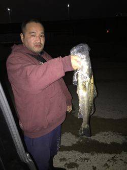 少し早いですが