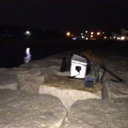 マーブルビーチのメバル