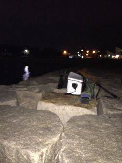 マーブルビーチのメバル