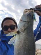 マイクロベイトパターン