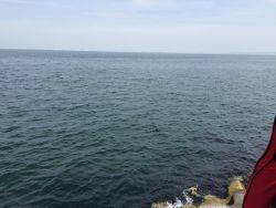 エビ撒き釣り修行