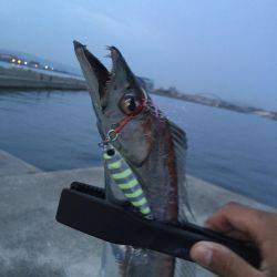 春タチ最高です!