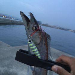 春タチ最高です!