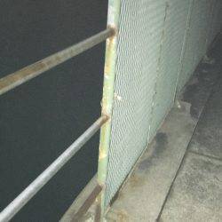 釣れたら、楽しい