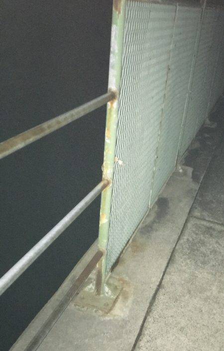 釣れたら、楽しい