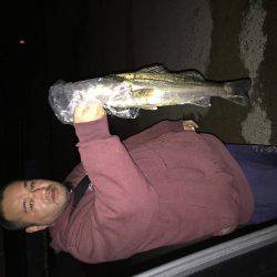 少し早いですが