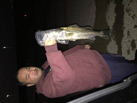 少し早いですが