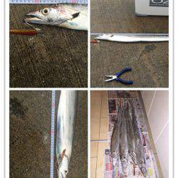 春タチ降臨！メーターオーバーも出た！