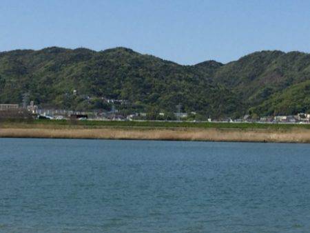 久し振りのマゴチ