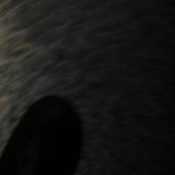 メバルを求めて