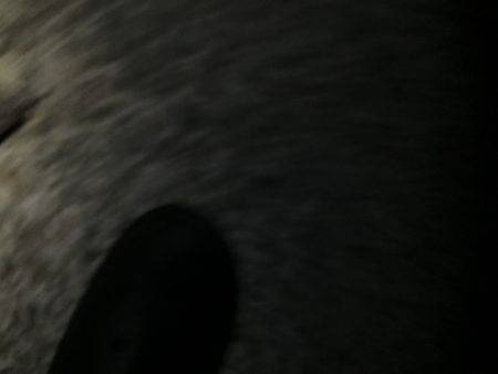 メバルを求めて