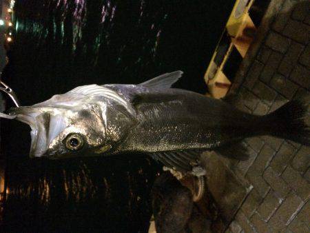 出だし好調やったのに……。