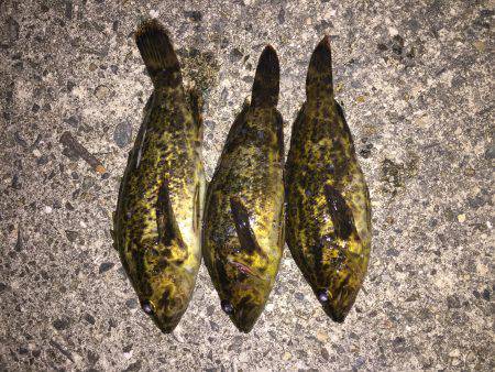 爆風、凪、タケノコメバル