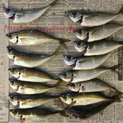 アジング〜！！