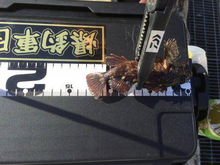 郵便局周辺で釣りをする（笑）。