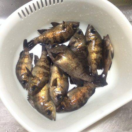 久々のメバリング