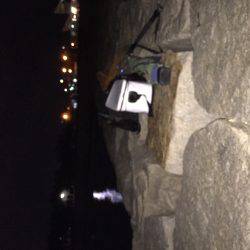 マーブルビーチのメバル