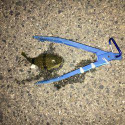 加太から助松埠頭まで