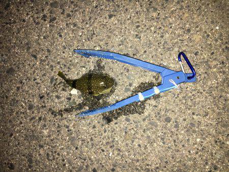 加太から助松埠頭まで