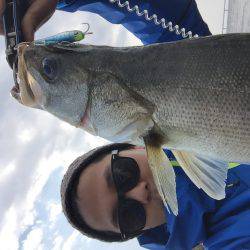 マイクロベイトパターン